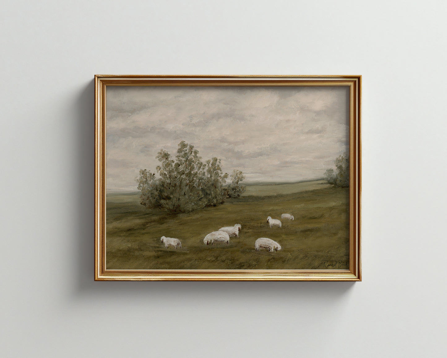 Sheep No 105